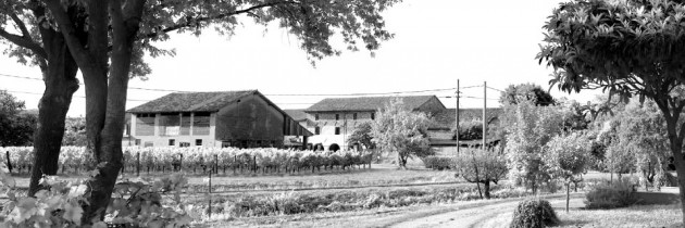 Presentazione Azienda Agricola in PDF